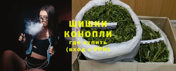 винт Шали