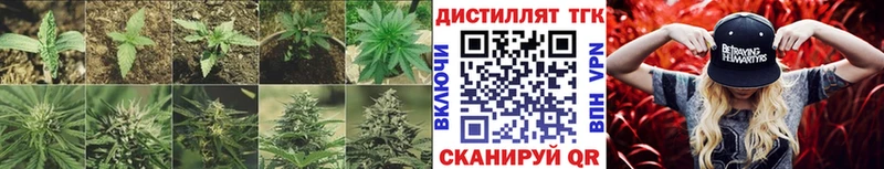 Дистиллят ТГК концентрат  как найти наркотики  Монино 