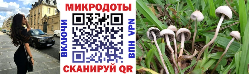 Галлюциногенные грибы Psilocybe  Монино 